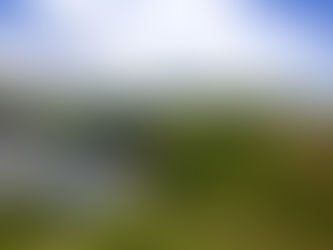 Sydney is my new home.........for now.