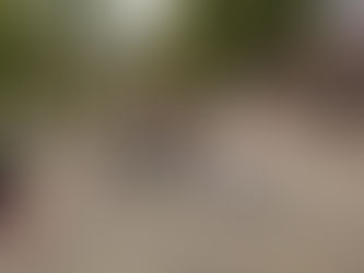 Maurepark, Berlin, Germany 