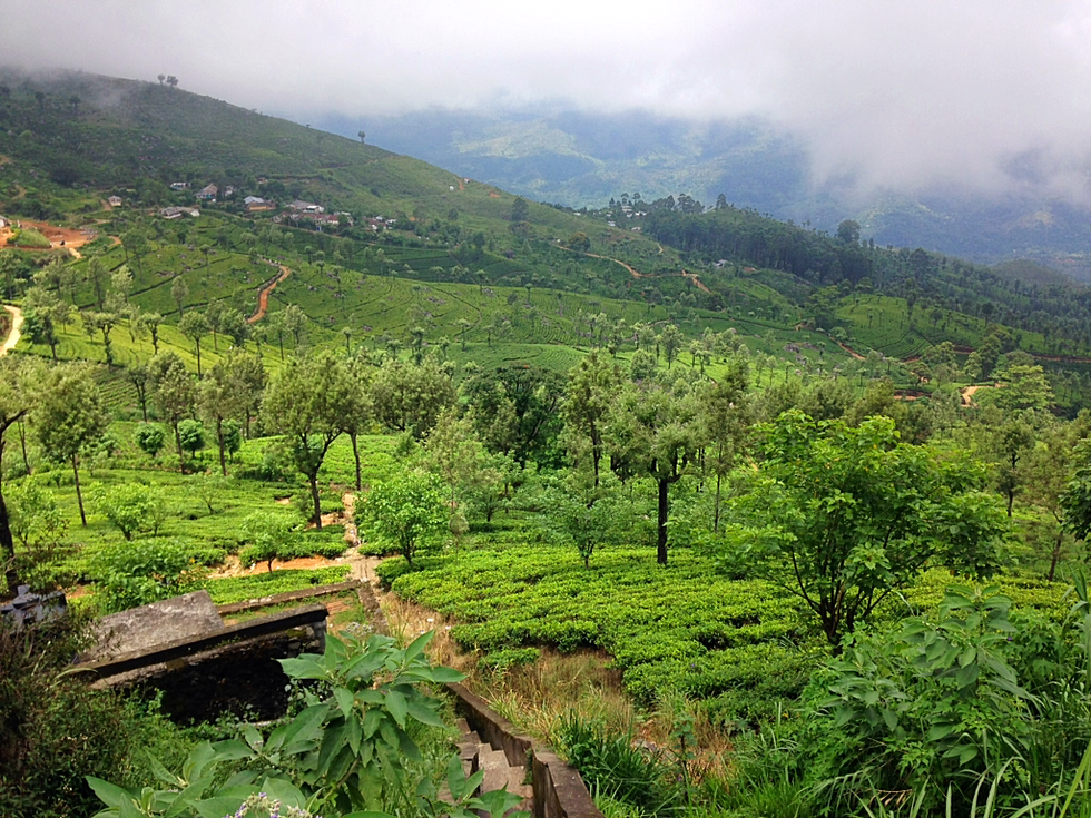 Sri Lanka - first impressions