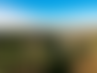 Halton then Sydney then...