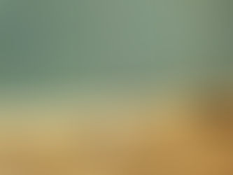 DASH shelter - final week