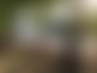 "Berlin, Du Bist So Wunderbar"