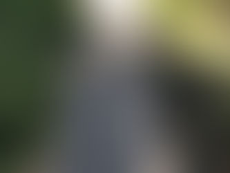 A Peninsula Pedestrian