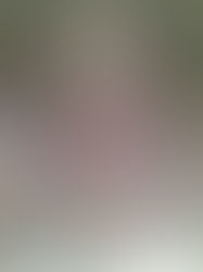 Madrid  - Reina Sofia National Museum & Art