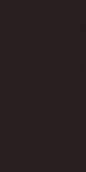 S010_V_P1.gif
