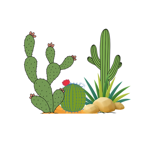 Diseño sin tÃtulo (16).png