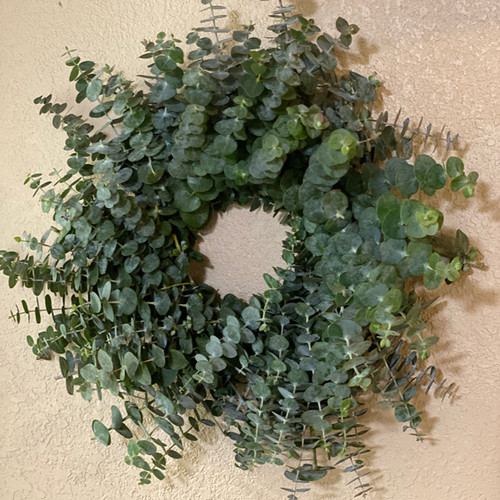 Small Fresh Eucalyptus wreath 18" ContrerasFarm