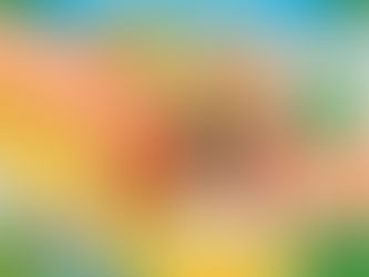 Magic Treehouse #1 Dinosaurs Before Dark by Mary Pope Osborne