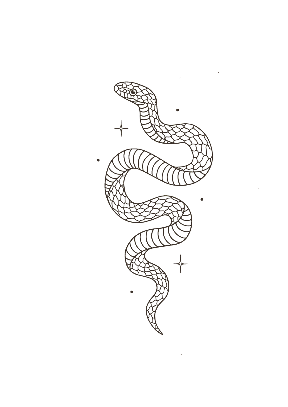 Starless bold Brown snake for labels