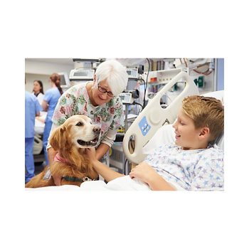 Add a heading (20).png