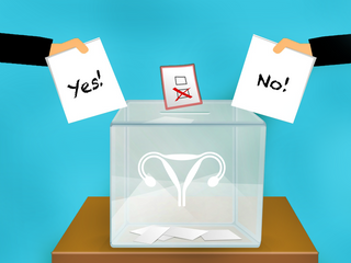 The Politics of Periods