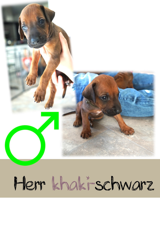 4 Wochen...