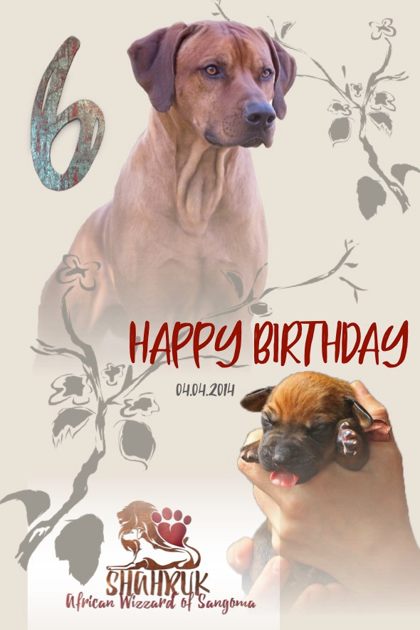 HAPPY 6th BIRTHDAY