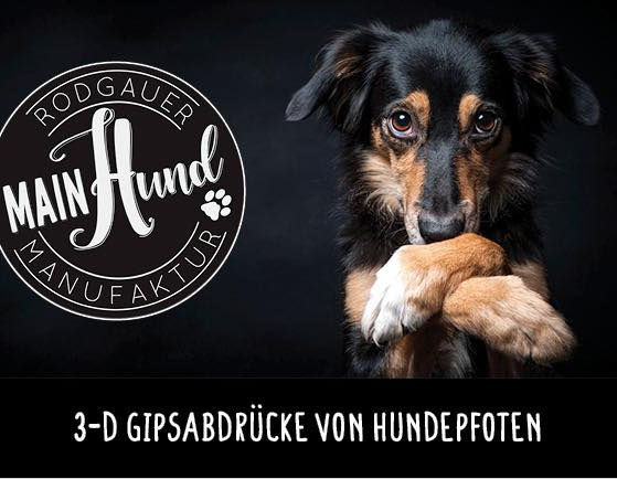 MainHund.jpeg