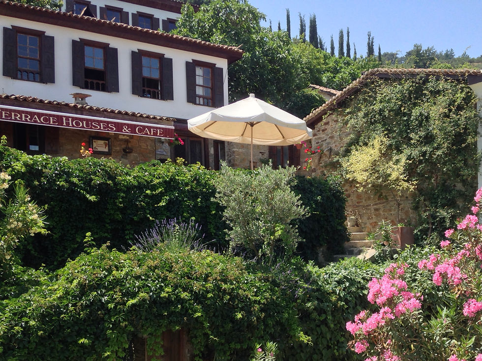 OLIVE HOUSE