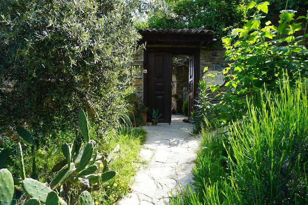Side entrance to Olive House