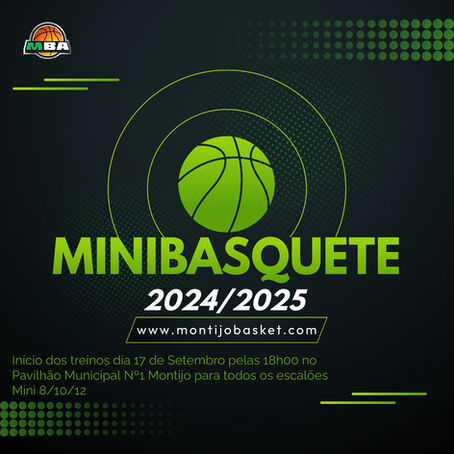 MINIBASQUETE
