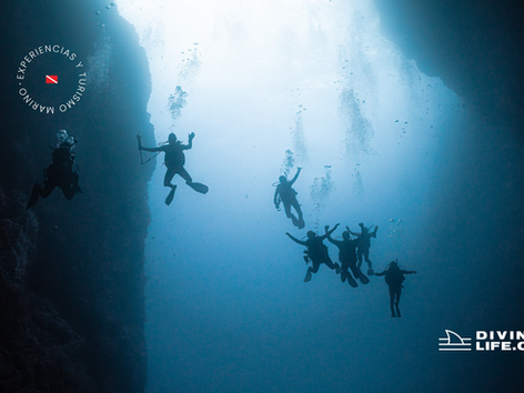 DIVING NEWS JUNIO 2025