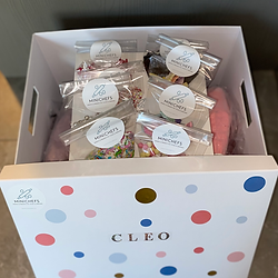 A DYI baking box with sprinkles, piping bags with different icings