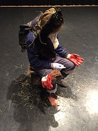 IMG_0645.jpeg