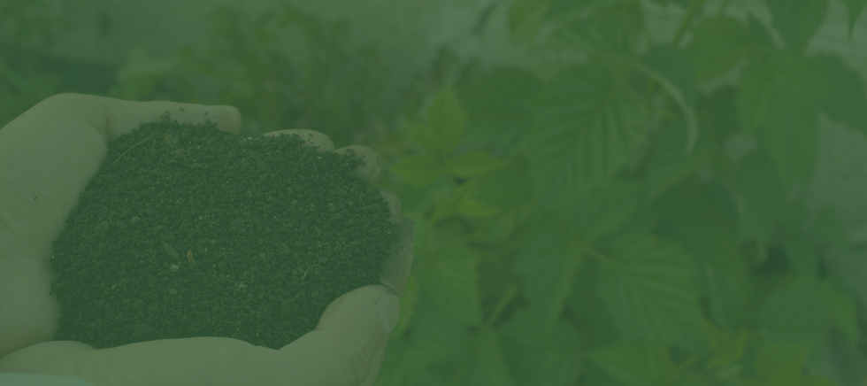 Organic Inputs.png