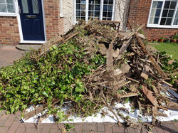Rubbish/ waste clearance