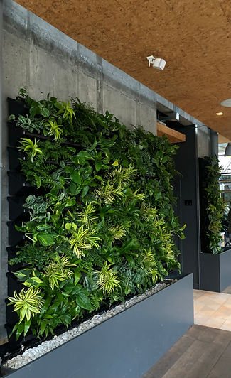 living wall