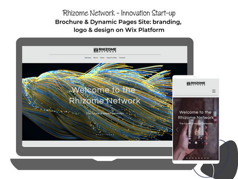 Brochure & Dynamic Pages Site: branding, 
logo & design on Wix Platform