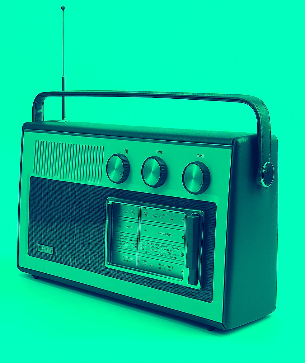 rádio ninguém fm