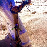 IMG_6978.JPEG