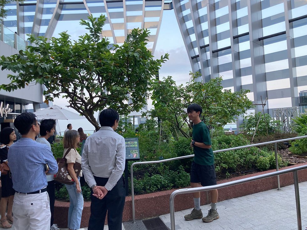 Thumbnail: Sky Garden Eden Farm Tour @ CapitaSpring's 1-Arden Food Forest