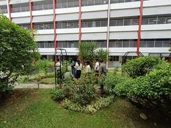 Learning journey in the garden