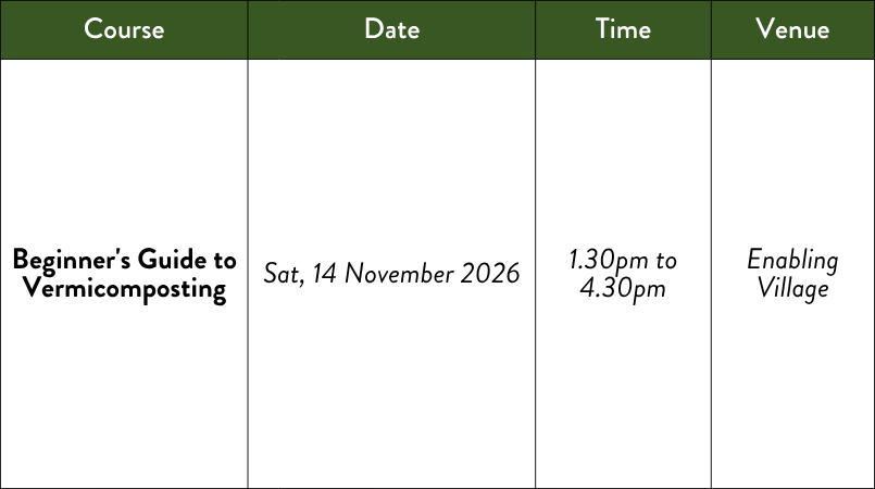 Beginner's Guide to Vermicomposting Schedule