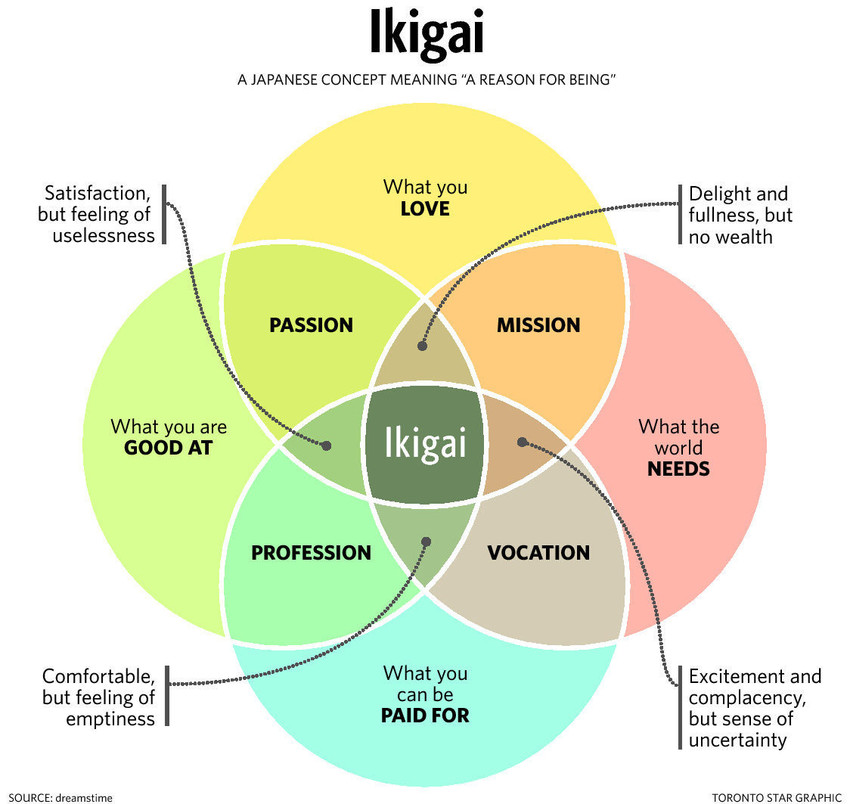 ikigai magnificent midlife revel coach