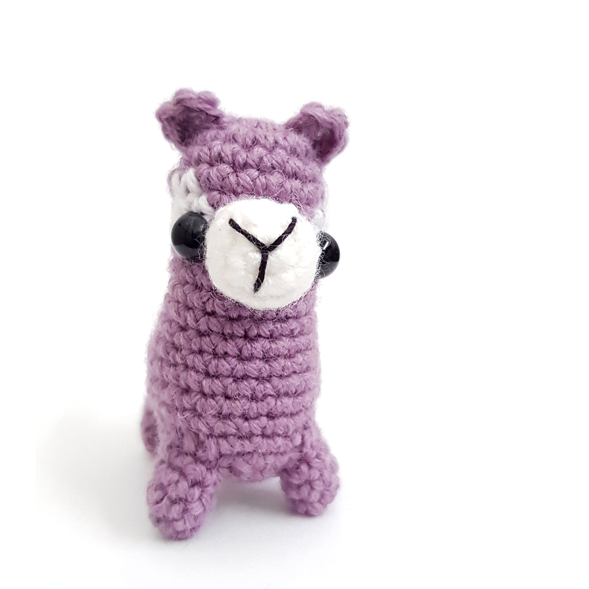Yami The Purple Alpacca