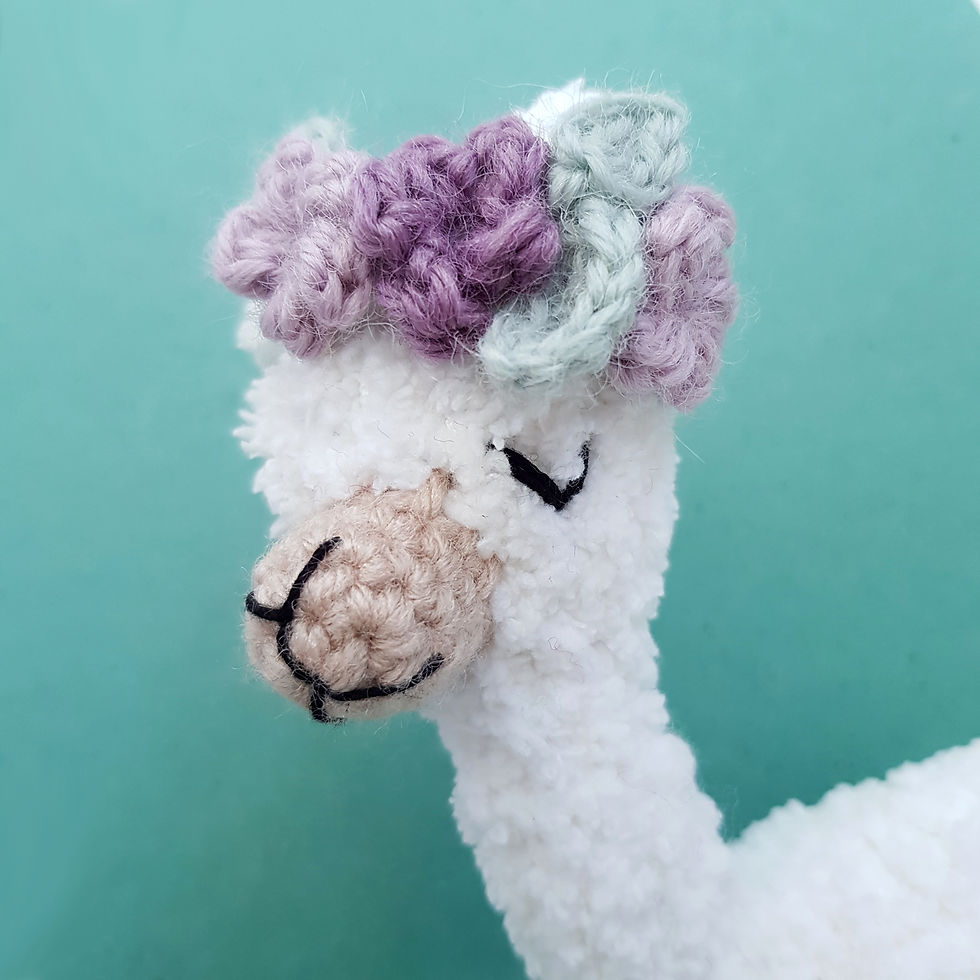 Thumbnail: Snowy The Alpacca