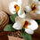 Thumbnail: Petit Orchid Plant