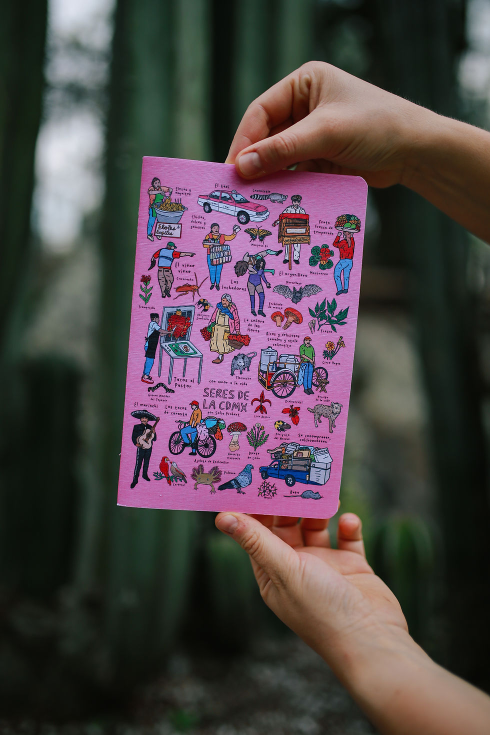 Miniatura: Libreta SERES DE LA CDMX