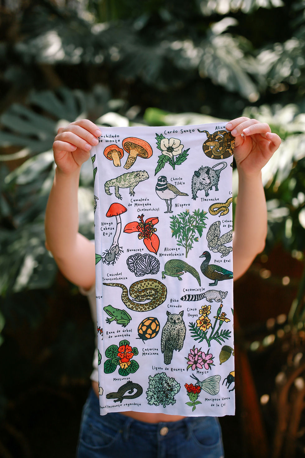 Miniatura: Buff animales y plantas de la CDMX