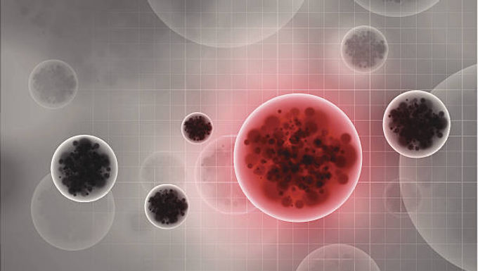 Content Editor: Dr. Himabindu Reddy