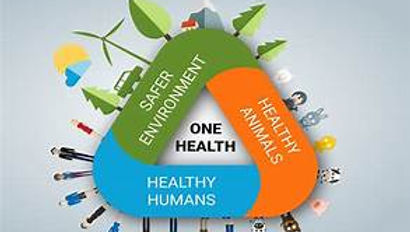 Content Editor: Dr Shayari Nag