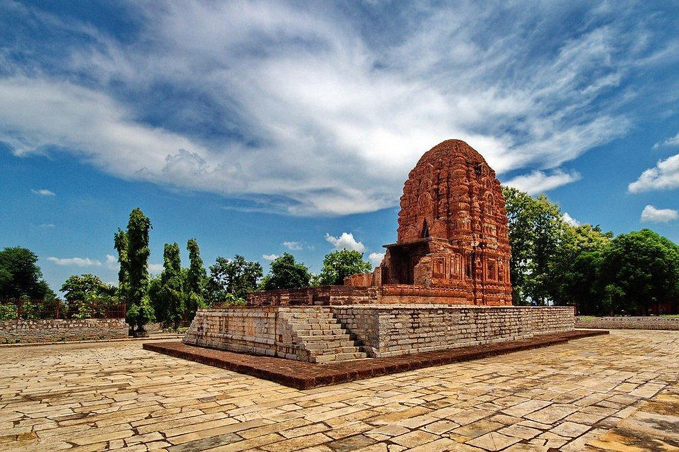 446 - Laxman Temple sirpur - Attractions (2).jpg
