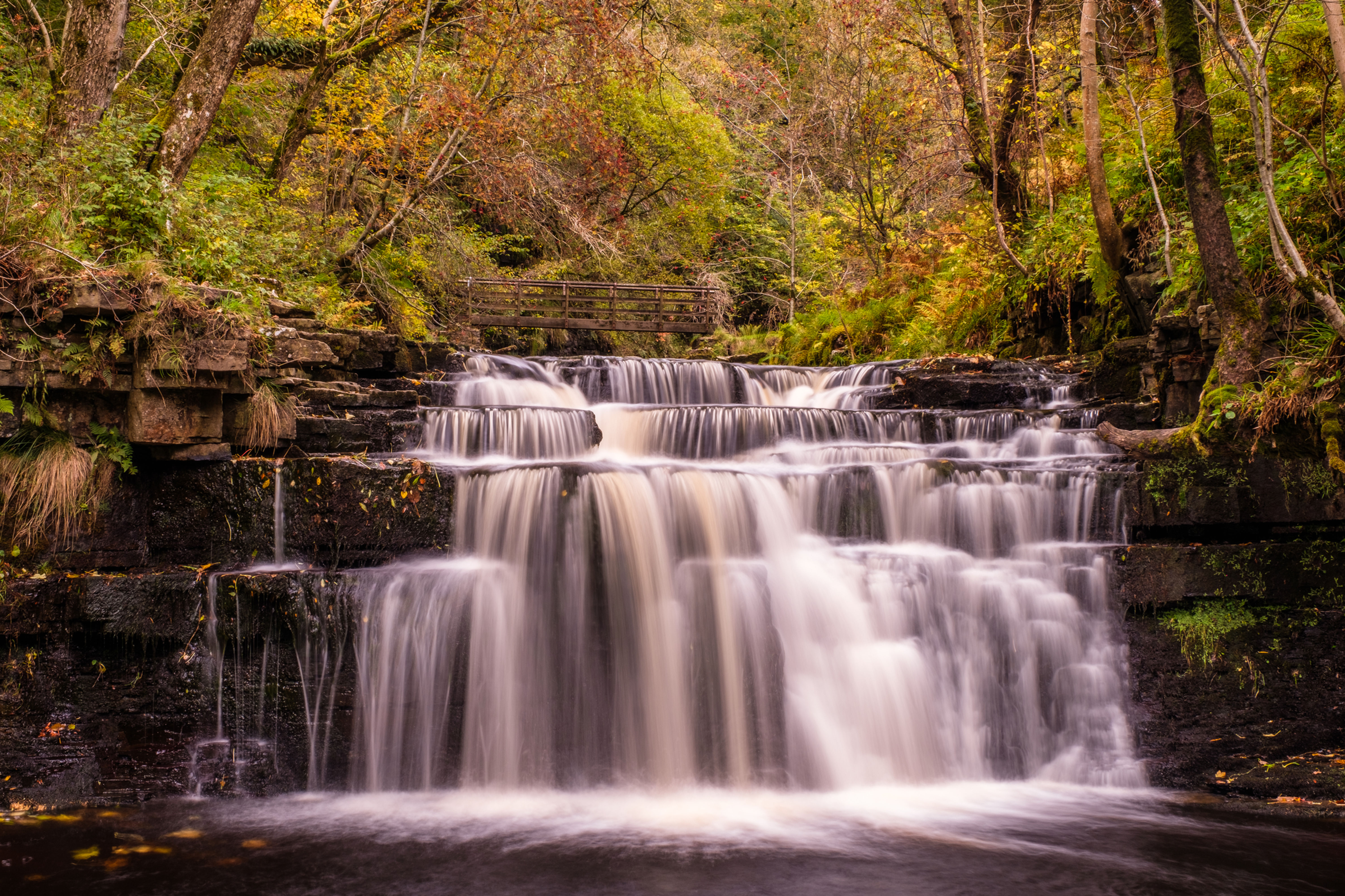 LOWER ASHGILL FORCE