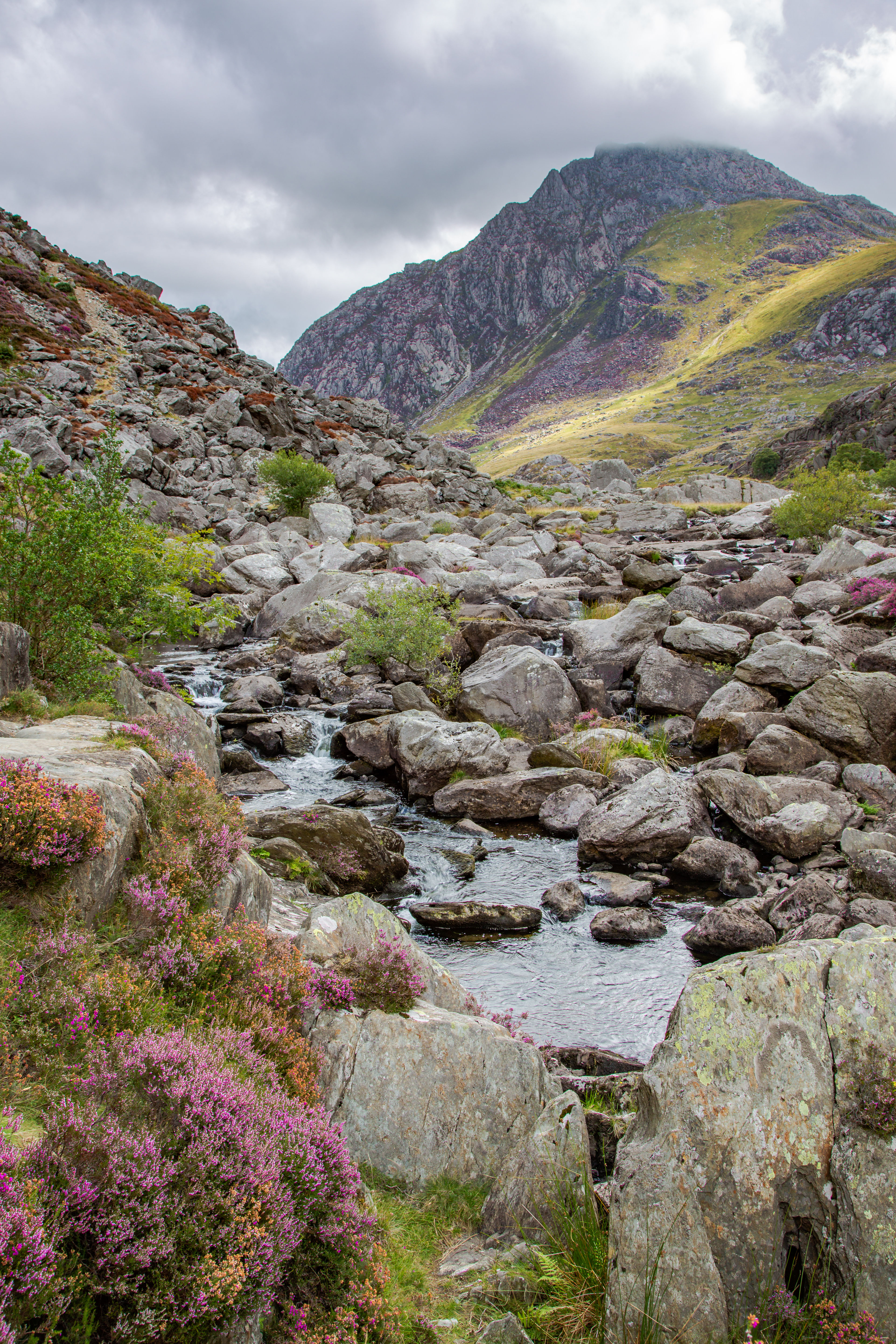 VIEW TO TRYFAN
