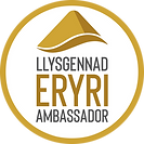 snowdonia-gold-badge.png