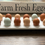 Thumbnail: 1 Dozen Chicken Eggs