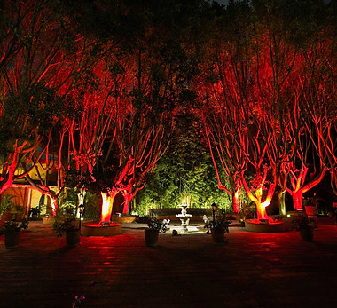 arquitectura_iluminacion_queretaro_jurica_jardin_1.jpg
