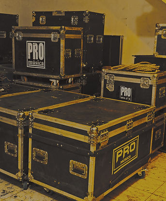 cases pro musica