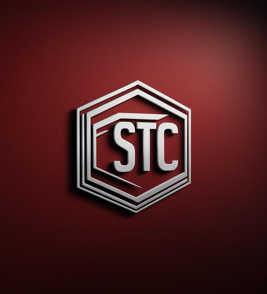 Take STC initial for the logo making and give me a unique design it is a cctv survelliance