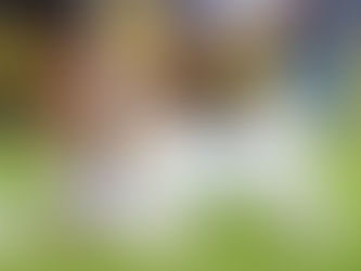 26.04.2015 National Dog Show Olbia (Italy)